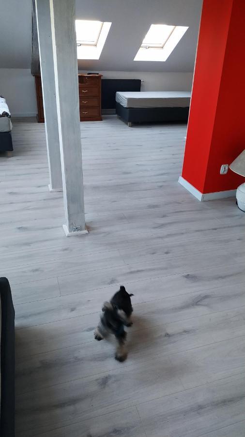 Apartament Witkacego Czerwony Слупск Екстериор снимка