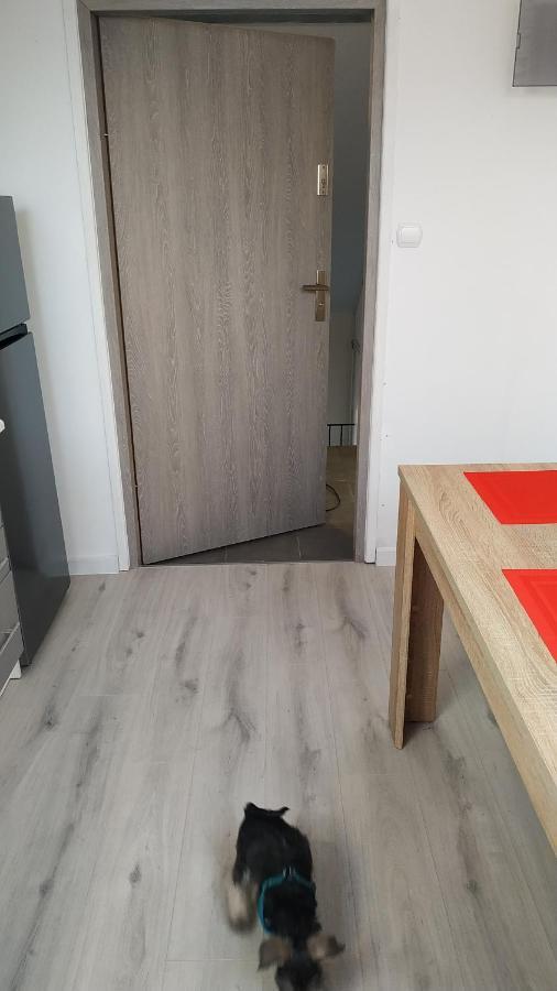 Apartament Witkacego Czerwony Слупск Екстериор снимка